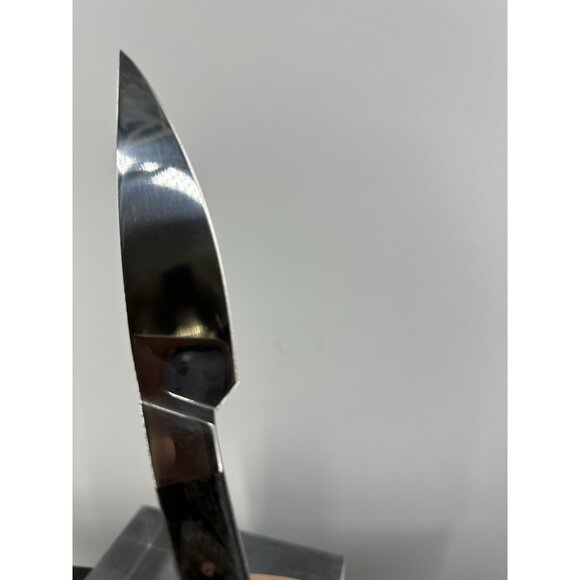 Legnoart "Caseus" Cheese Enthusiast Set Of 3 Knives Wood Handle Italy (B-10) - Picture 14 of 15